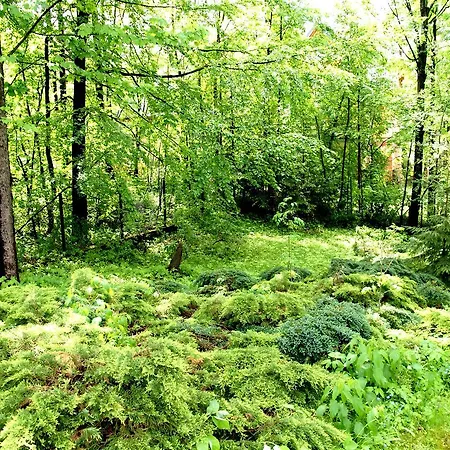 Drewniany Tetmajera Centrum Alpesi faház Zakopane