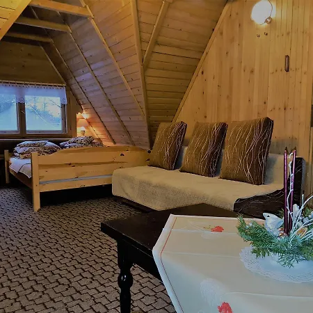 Chalet Drewniany Tetmajera Centrum