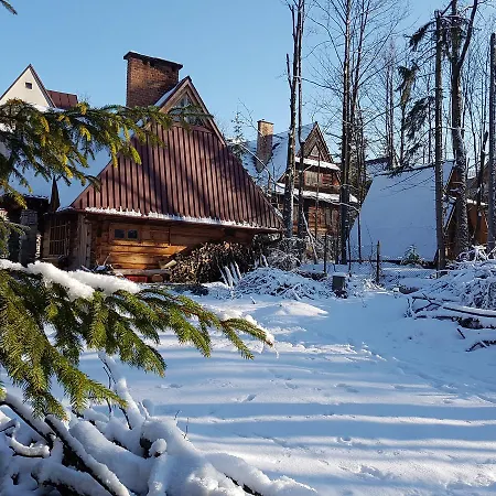 Drewniany Tetmajera Centrum Chalet