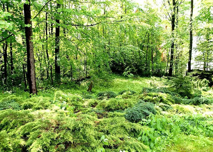 Drewniany Tetmajera Centrum Chalet Zakopane