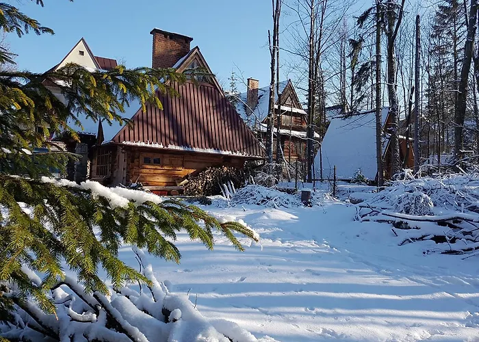 Drewniany Tetmajera Centrum Chalet